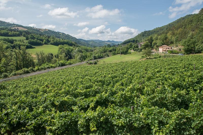 Agriturismo Pedrosola 브리시그헬라 외부 사진