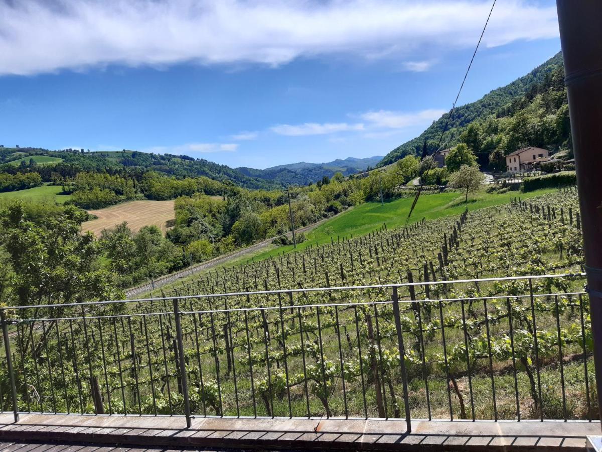 Agriturismo Pedrosola 브리시그헬라 외부 사진